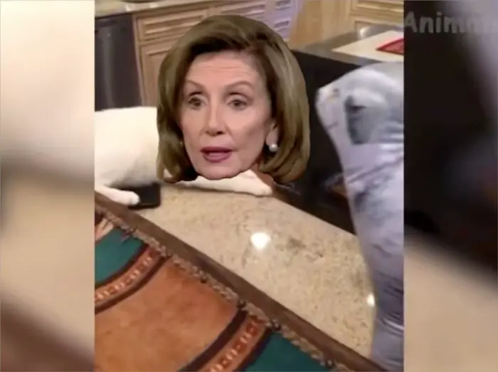 kitty power meme | image tagged in memes | made with Piñata Farms meme generator