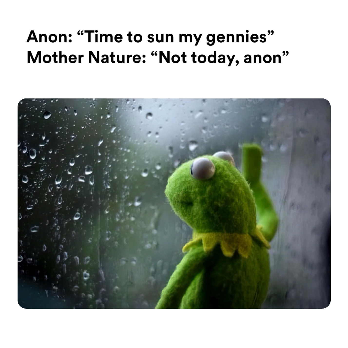 Kermit the Frog is depressed meme | Anon: 66 Time to sun my gennies" Mother Nature: "Not today, anon" | image tagged in memes | made with Piñata Farms meme generator