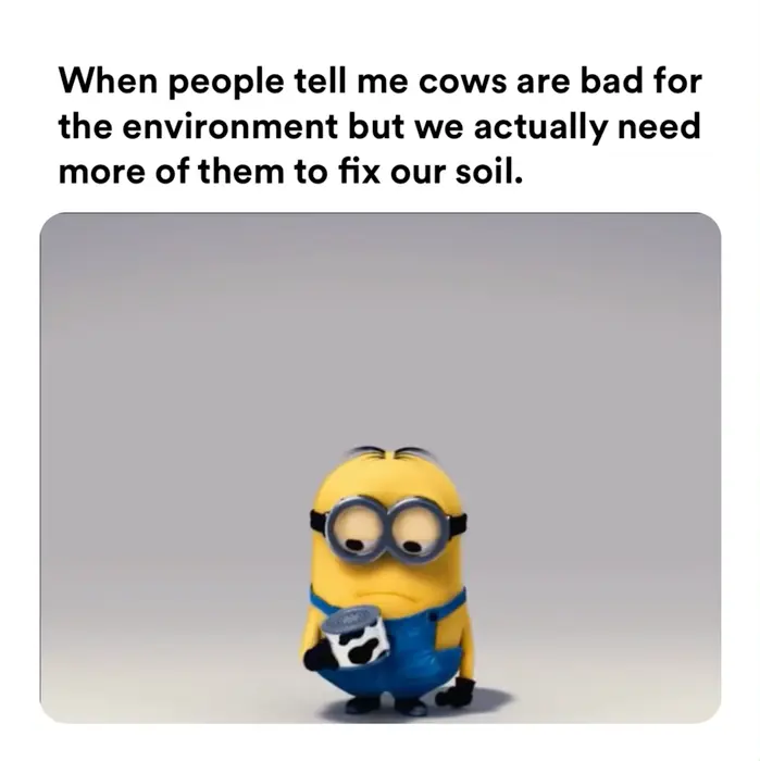 Minion plays with cow toy meme | When people tell me cows are bad for the environment but we actually need more of them to fix our soil: | image tagged in memes | made with Piñata Farms meme generator