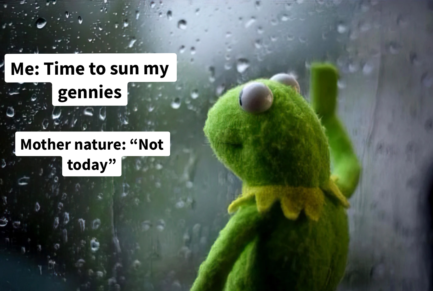 Kermit the Frog is depressed meme | image tagged in memes | made with Piñata Farms meme generator