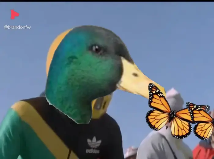 Cool Runnings meme | image tagged in memes | made with Piñata Farms meme generator