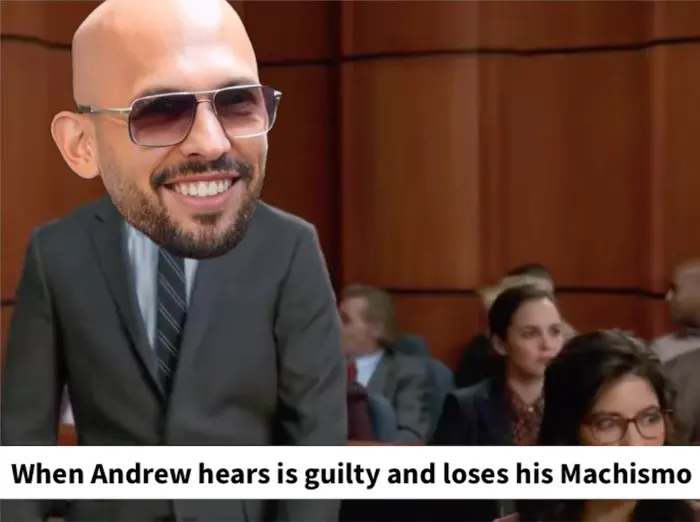 Jake Peralta says cool in the courtroom meme | image tagged in memes | made with Piñata Farms meme generator