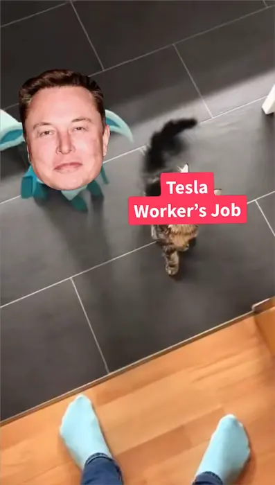 Glaceon freezes a cat meme | image tagged in memes | made with Piñata Farms meme generator