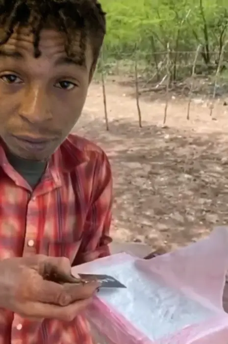 A man's reaction to drugs meme | image tagged in memes | made with Piñata Farms meme generator