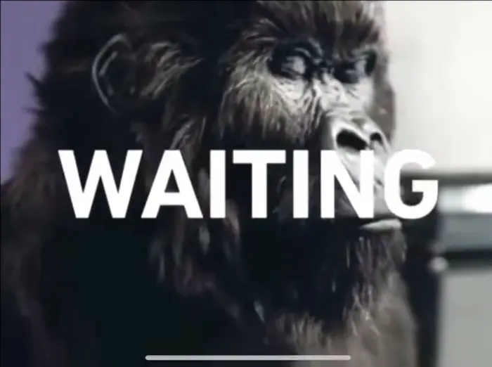 Phil Collins meme | image tagged in memes | made with Piñata Farms meme generator