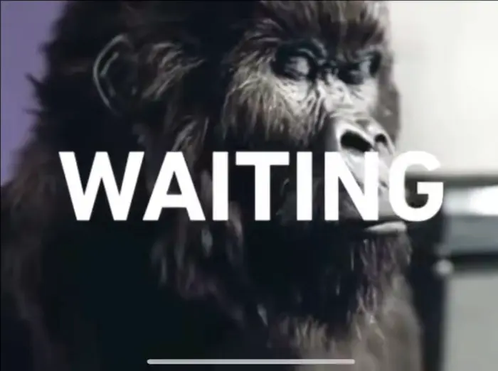 Phil Collins meme | image tagged in memes | made with Piñata Farms meme generator