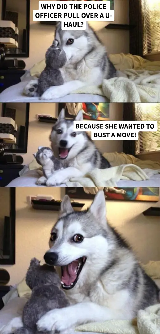 Meme imagemichaeltg22