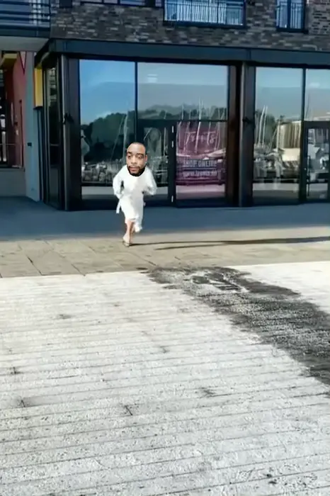 Piñata thumbnail image