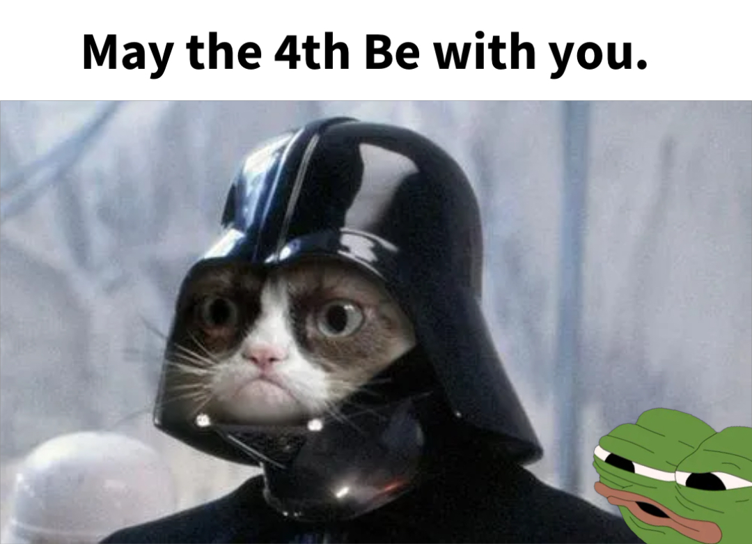 Grumpy Cat Star Wars meme | image tagged in memes | made with Piñata Farms meme generator