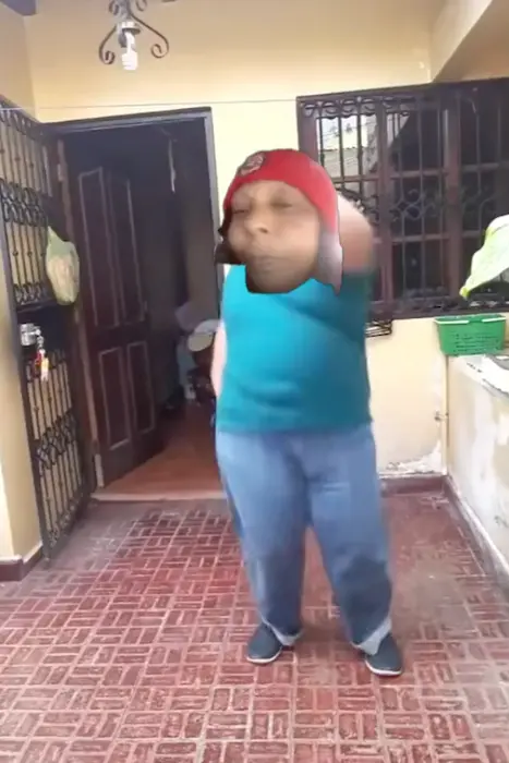 Piñata thumbnail image