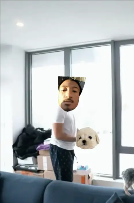 Piñata thumbnail image