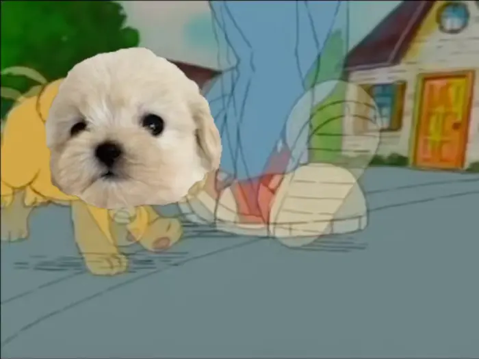 Piñata thumbnail image