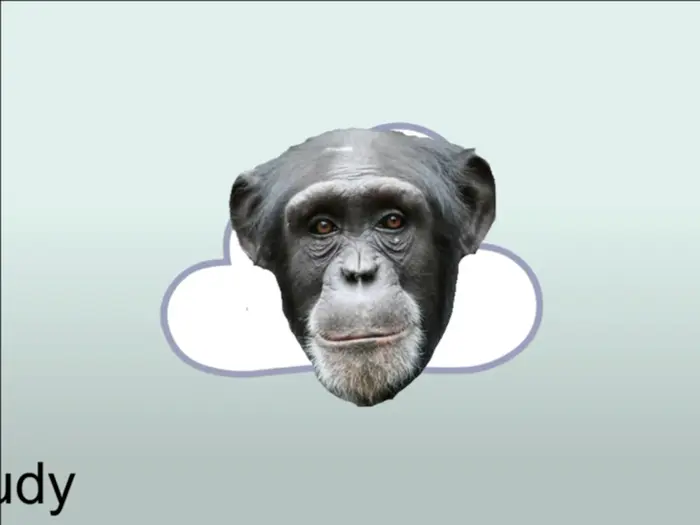 Battle for Dream Island meme | image tagged in memes | made with Piñata Farms meme generator