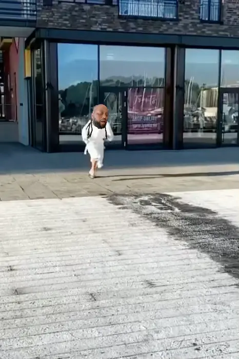 Piñata thumbnail image