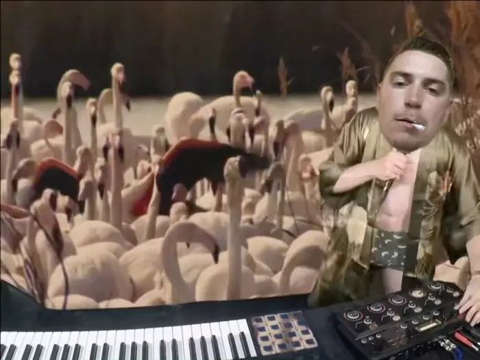 Piñata thumbnail image