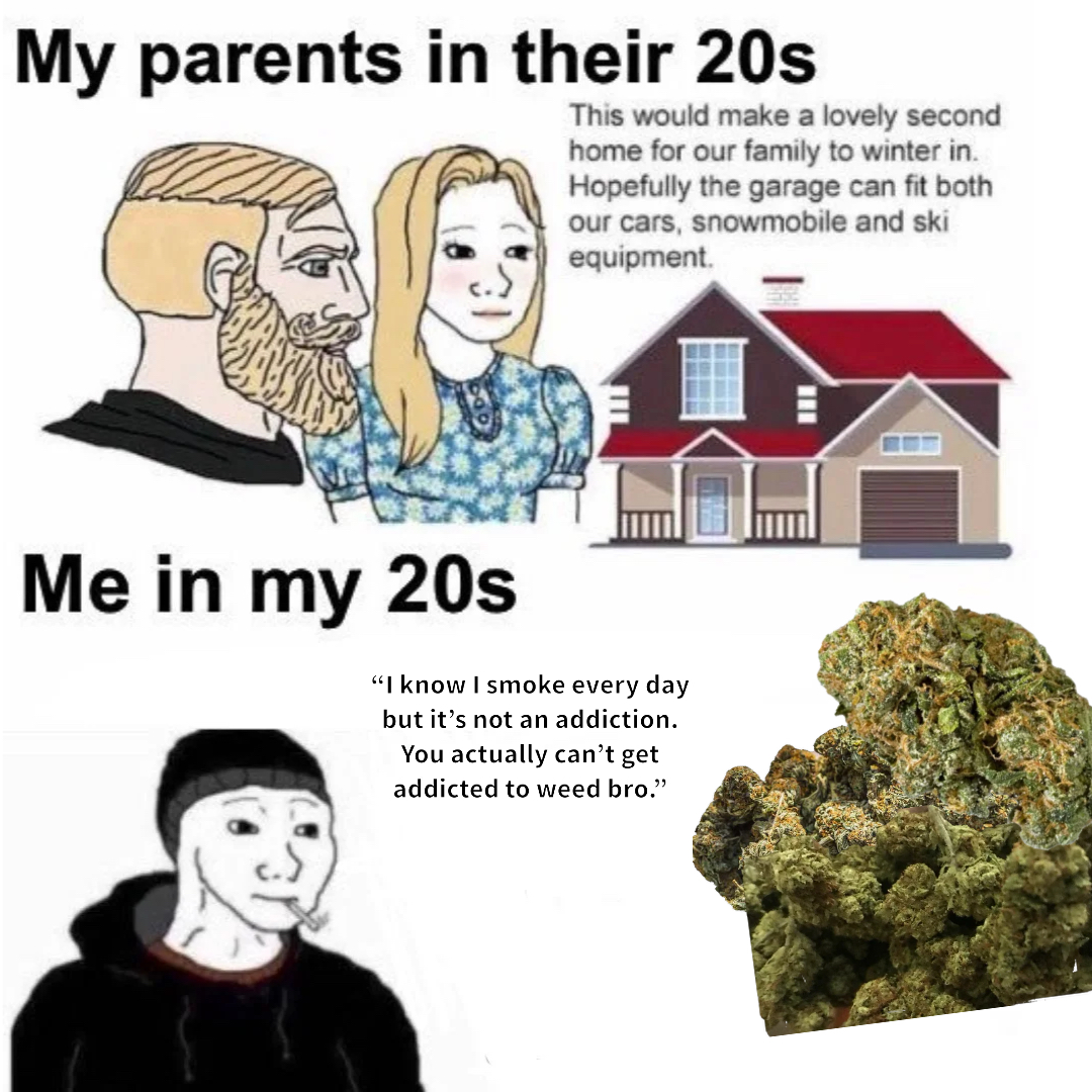 My parents Vs Me meme | image tagged in memes | made with Piñata Farms meme generator