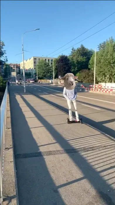 Piñata thumbnail image