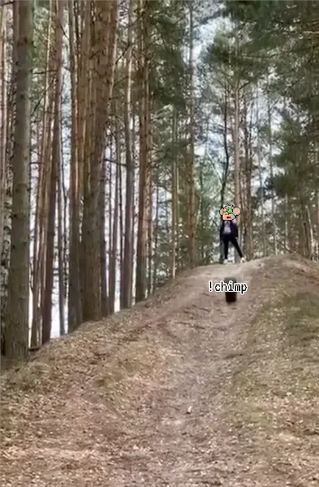 the tire hits the guy meme | image tagged in memes | made with Piñata Farms meme generator