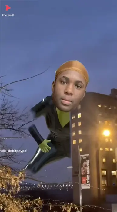 Dancing shrek meme | Lol 😂 | image tagged in memes | made with Piñata Farms meme generator