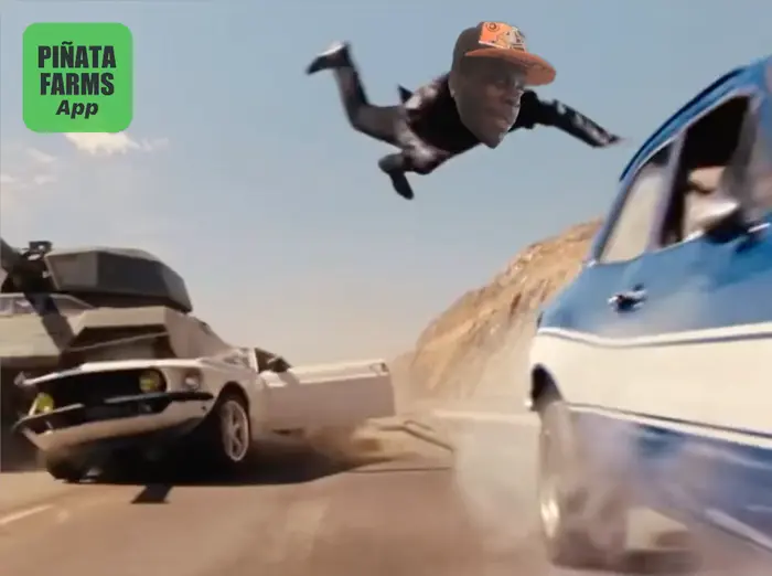 Piñata thumbnail image