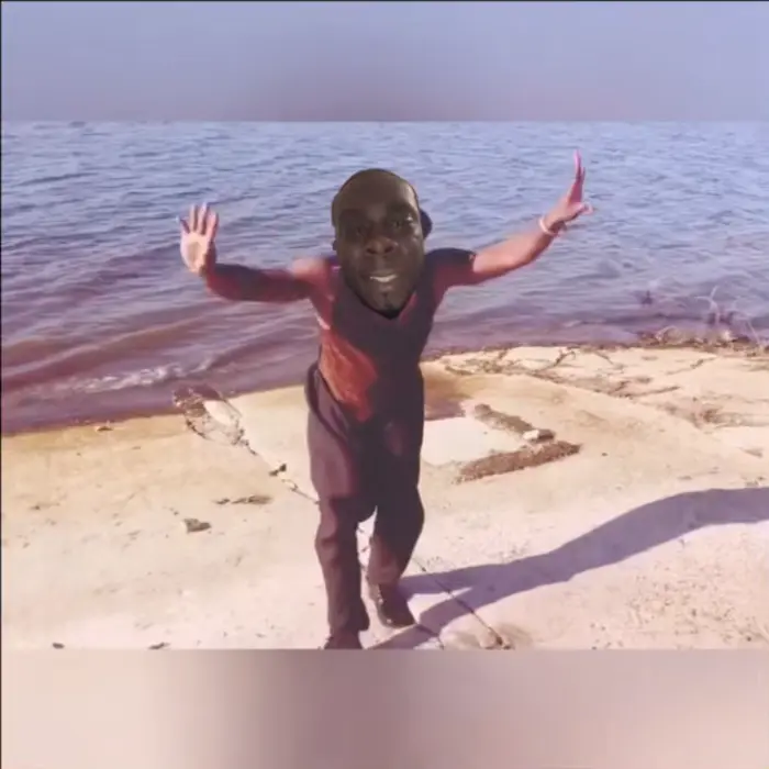 Piñata thumbnail image