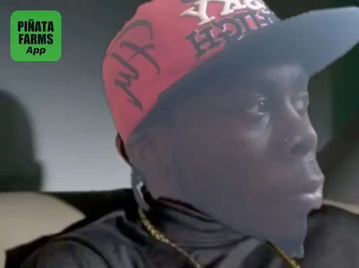 Piñata thumbnail image