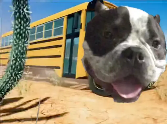 Piñata thumbnail image