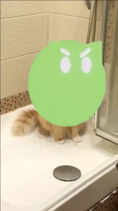 A cat looks at the one point in the shower meme | Cat PIÑATA | image tagged in memes | made with Piñata Farms meme generator