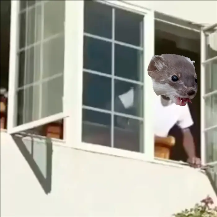 Tyler The Creator Shut up meme | image tagged in memes | made with Piñata Farms meme generator