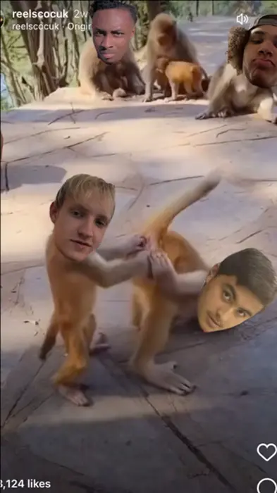 Piñata thumbnail image