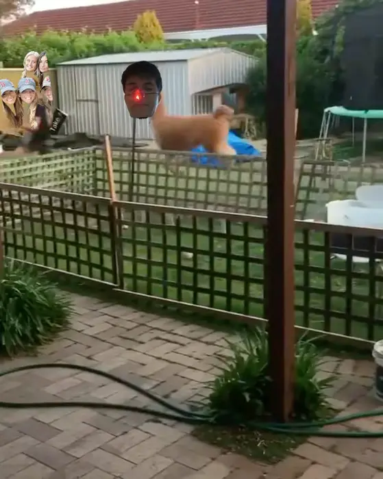 Piñata thumbnail image