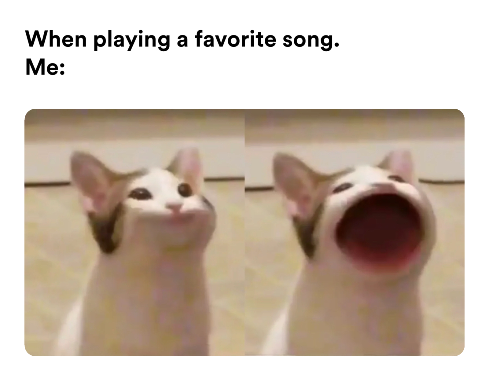 Pop cat meme | When playing a favorite song.
Me: | image tagged in memes: music, music, song | made with Piñata Farms meme generator