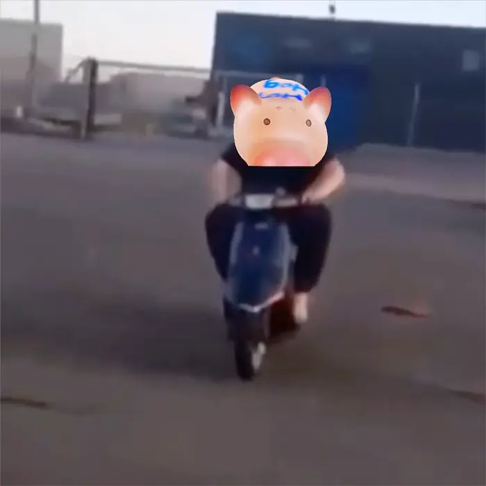 Piñata thumbnail image