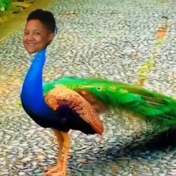 Piñata thumbnail image