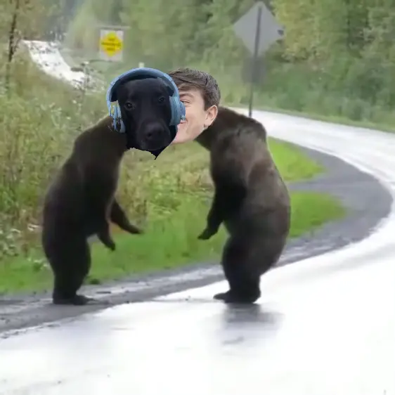 2 bears fighting in middle of road meme | image tagged in memes | made with Piñata Farms meme generator