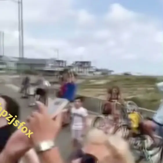 Bamboleo - Cat jump meme | image tagged in memes | made with Piñata Farms meme generator