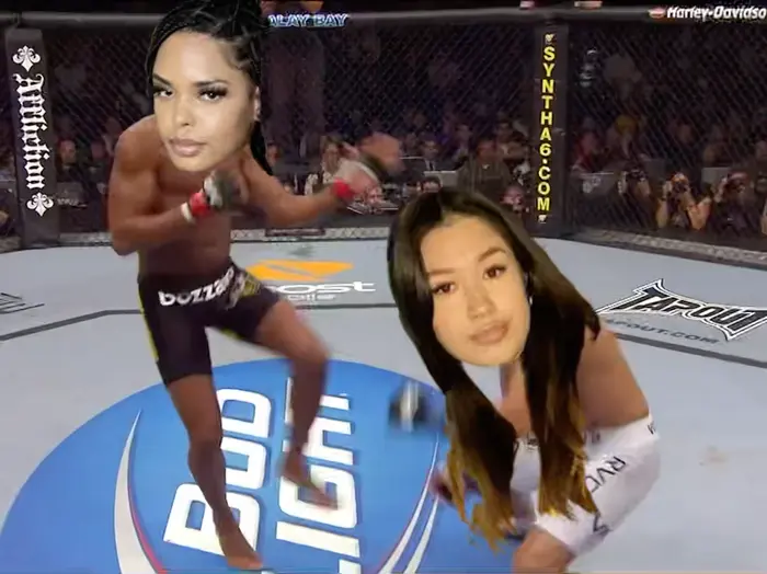 Every Front Kick Finish in UFC History meme | image tagged in memes | made with Piñata Farms meme generator