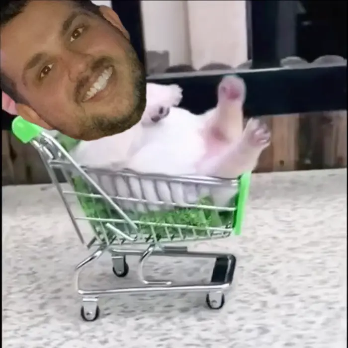 Piñata thumbnail image