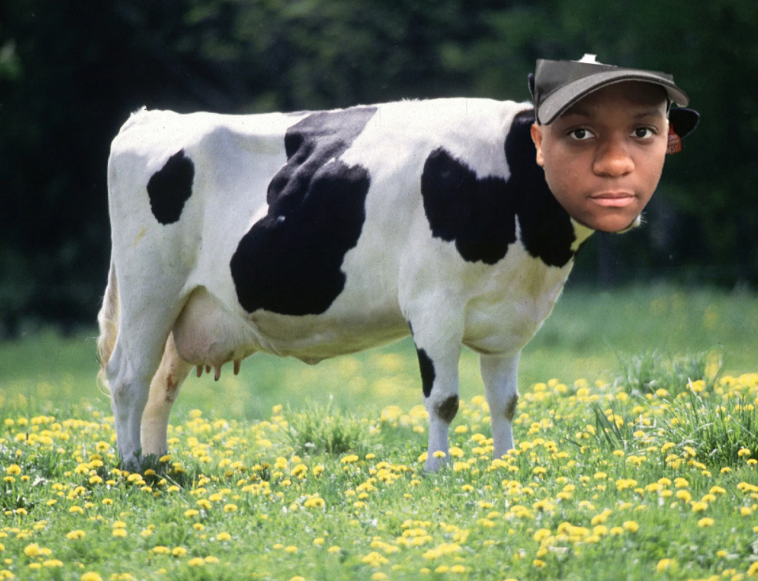 Cow meme | image tagged in memes | made with Piñata Farms meme generator