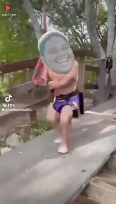 Piñata thumbnail image