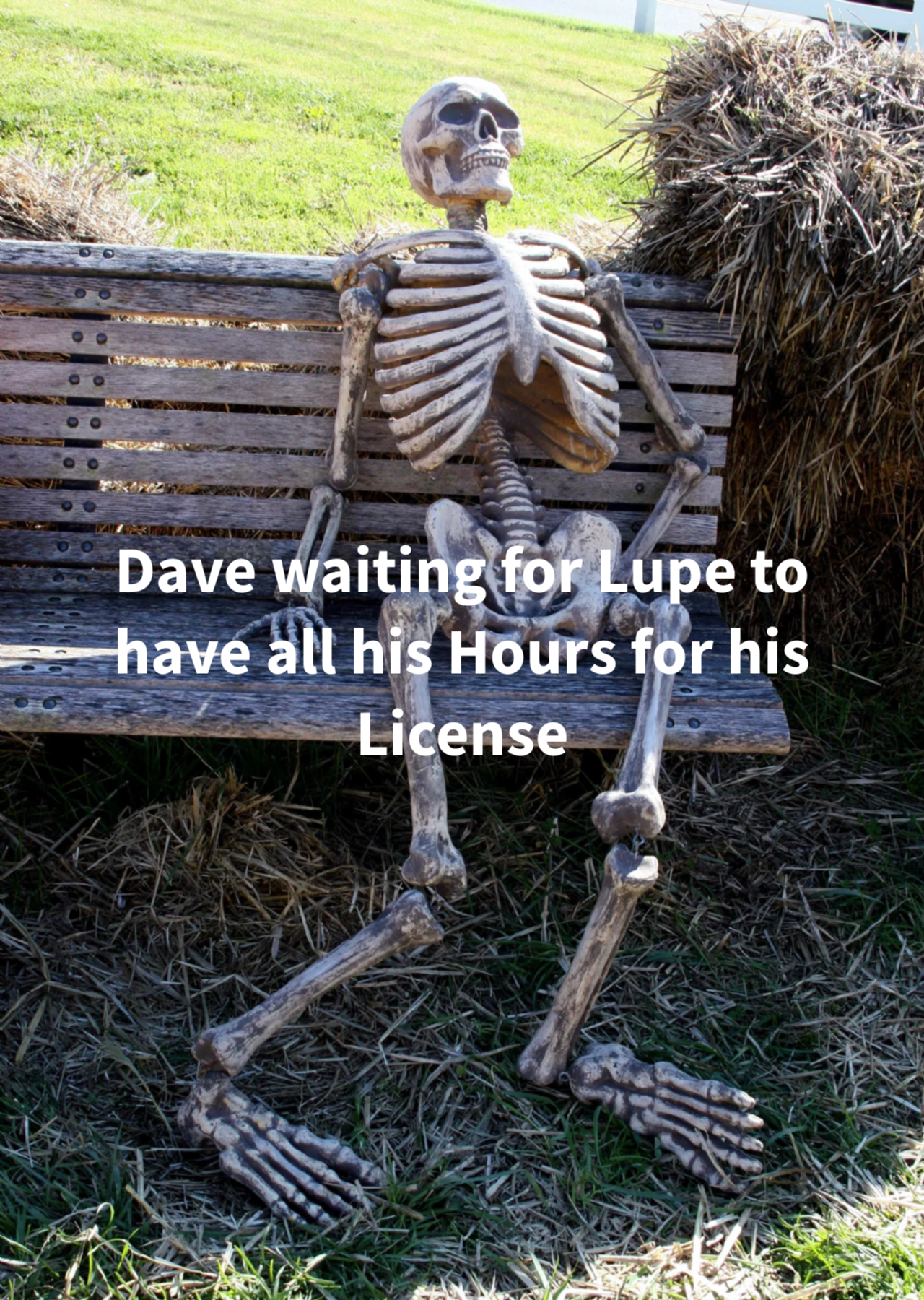 Waiting skeleton meme | image tagged in memes | made with Piñata Farms meme generator