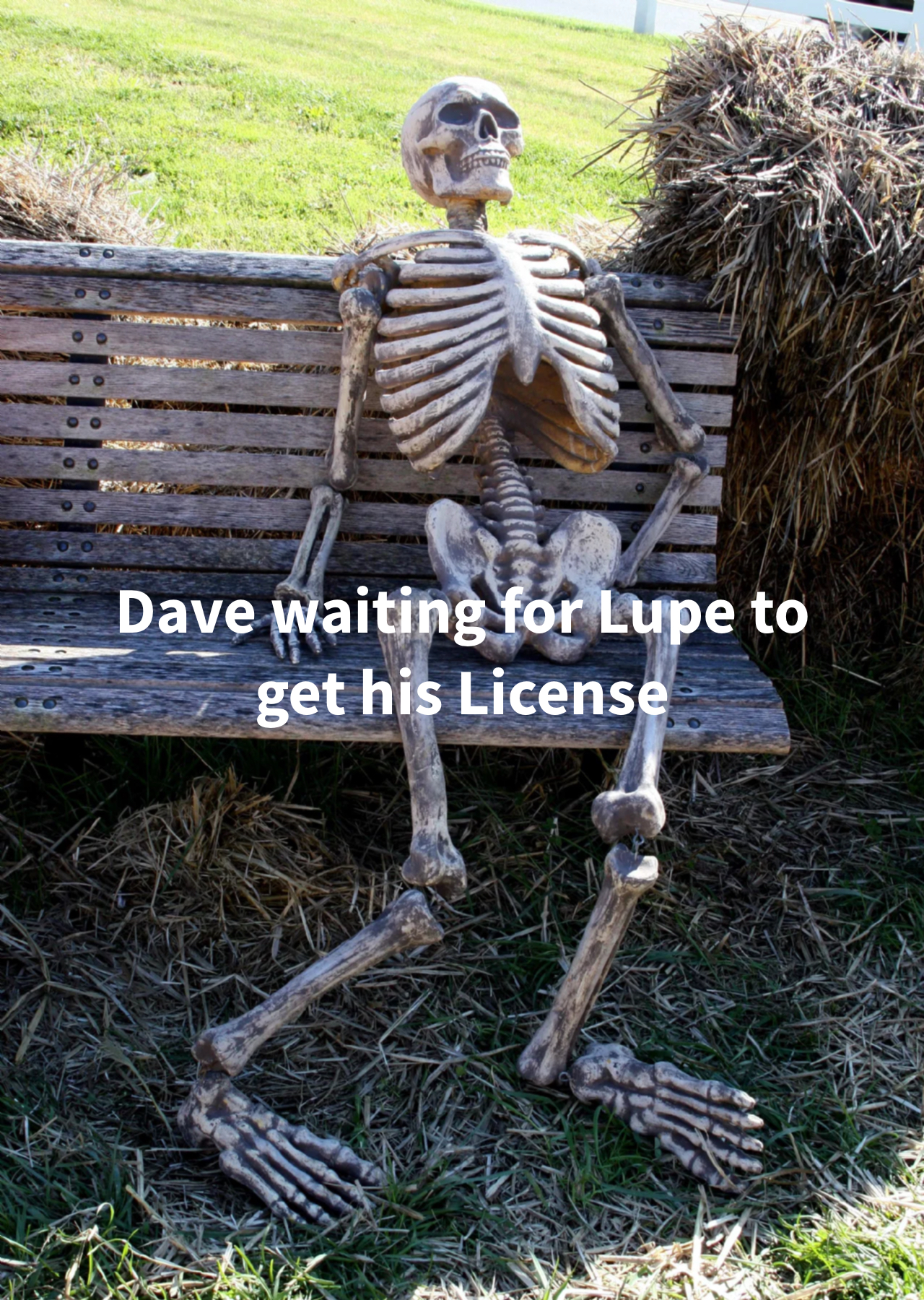 Waiting skeleton meme | image tagged in memes | made with Piñata Farms meme generator