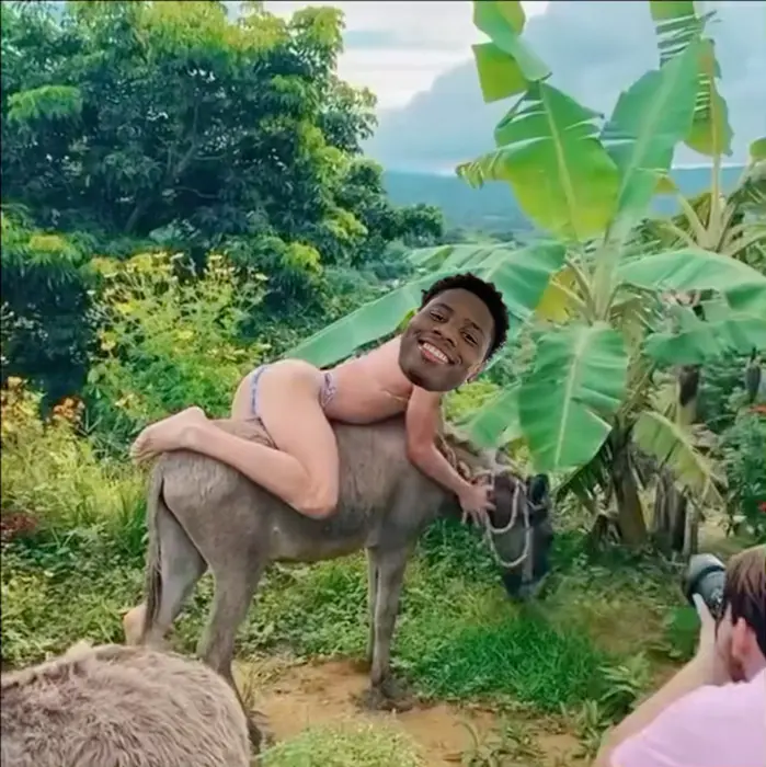 Piñata thumbnail image