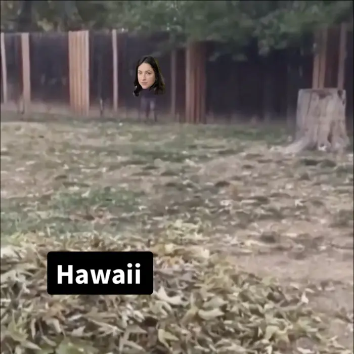 dog tackles the running kid meme | In Jesus name amen | image tagged in memes | made with Piñata Farms meme generator