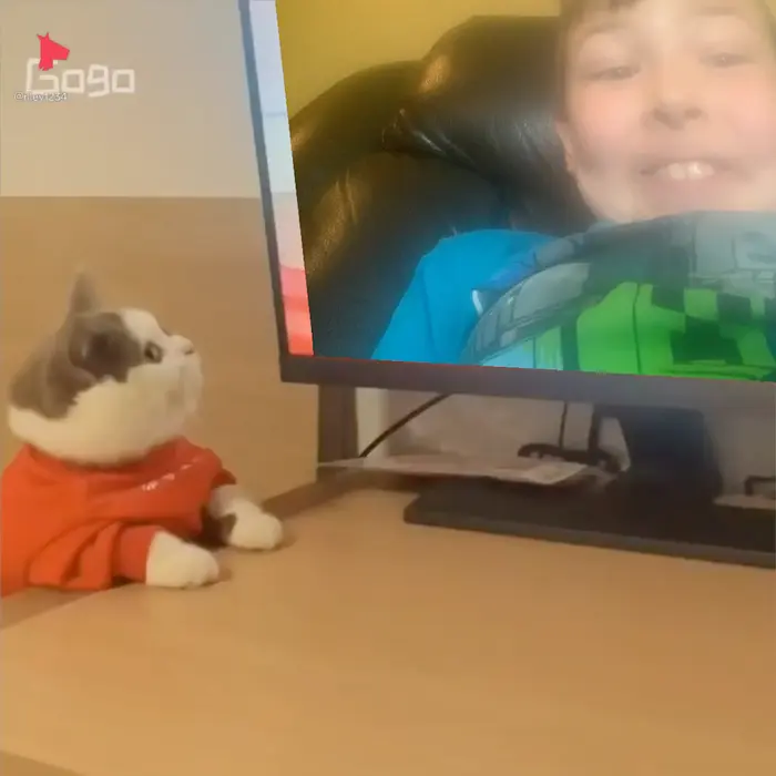 Cat watches "Tom and Jerry" meme | image tagged in memes | made with Piñata Farms meme generator