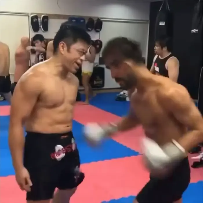 No pain boxing meme | image tagged in memes | made with Piñata Farms meme generator