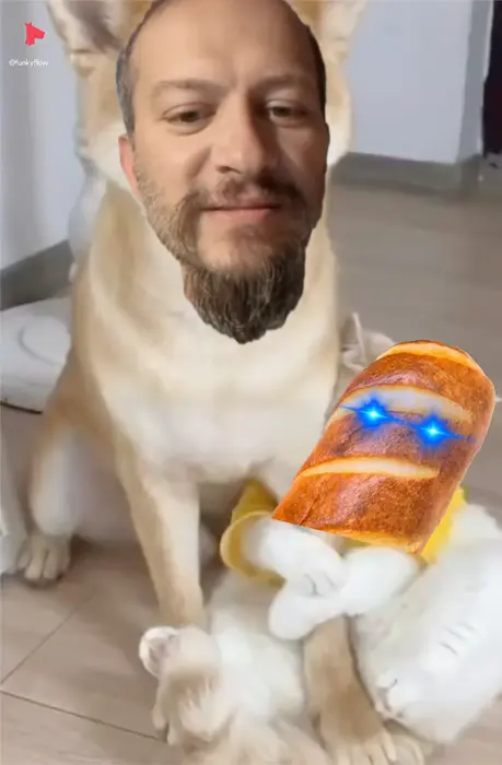 cat hugs the dog meme | image tagged in memes | made with Piñata Farms meme generator