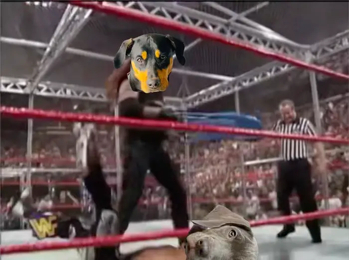 Piñata thumbnail image