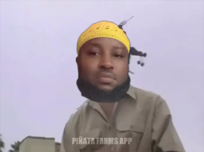 Piñata thumbnail image