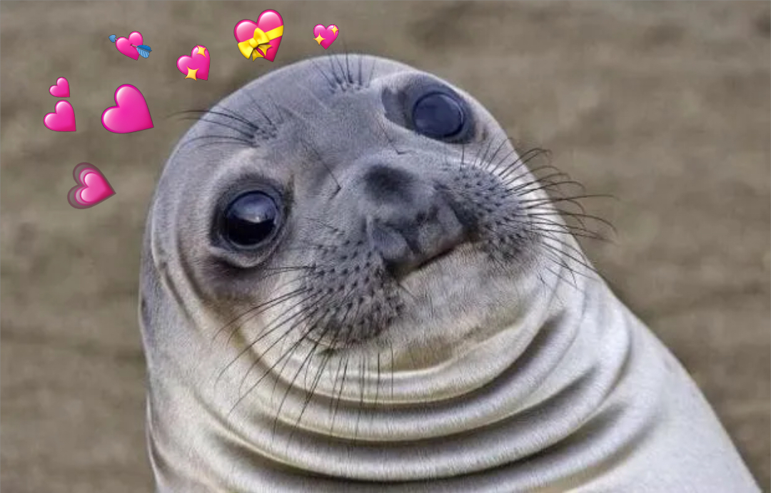 Awkward Moment Sealion meme | image tagged in memes | made with Piñata Farms meme generator